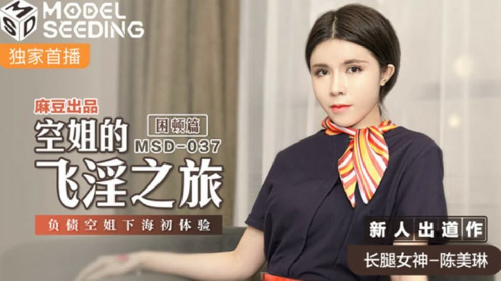 麻豆航空风情：负债空姐陈美琳下海初体验，高空激情飞行之旅