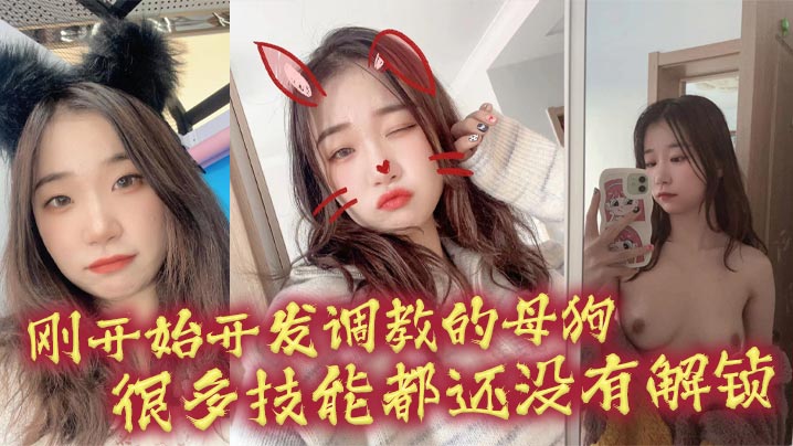 极品母狗开发日记 爆操解锁新姿势 骚穴狂干到失禁