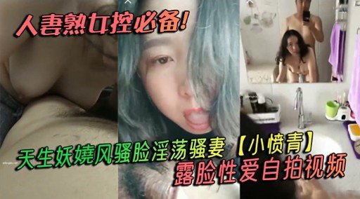 人妻熟女极品骚妻自拍露脸爆操内射高清