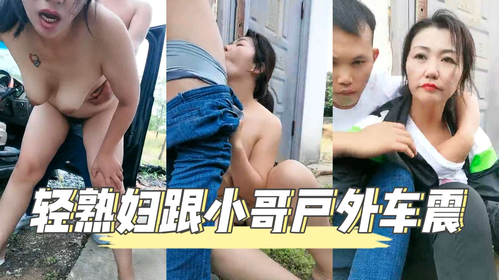 [无码] 极品轻熟妇人妻户外车震被小哥狂干到内射