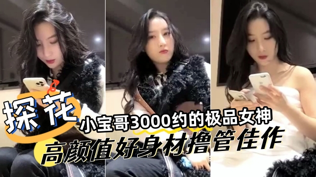 探花小宝哥3000网约极品女神 高颜值巨乳好身材 爆操内射撸管佳作